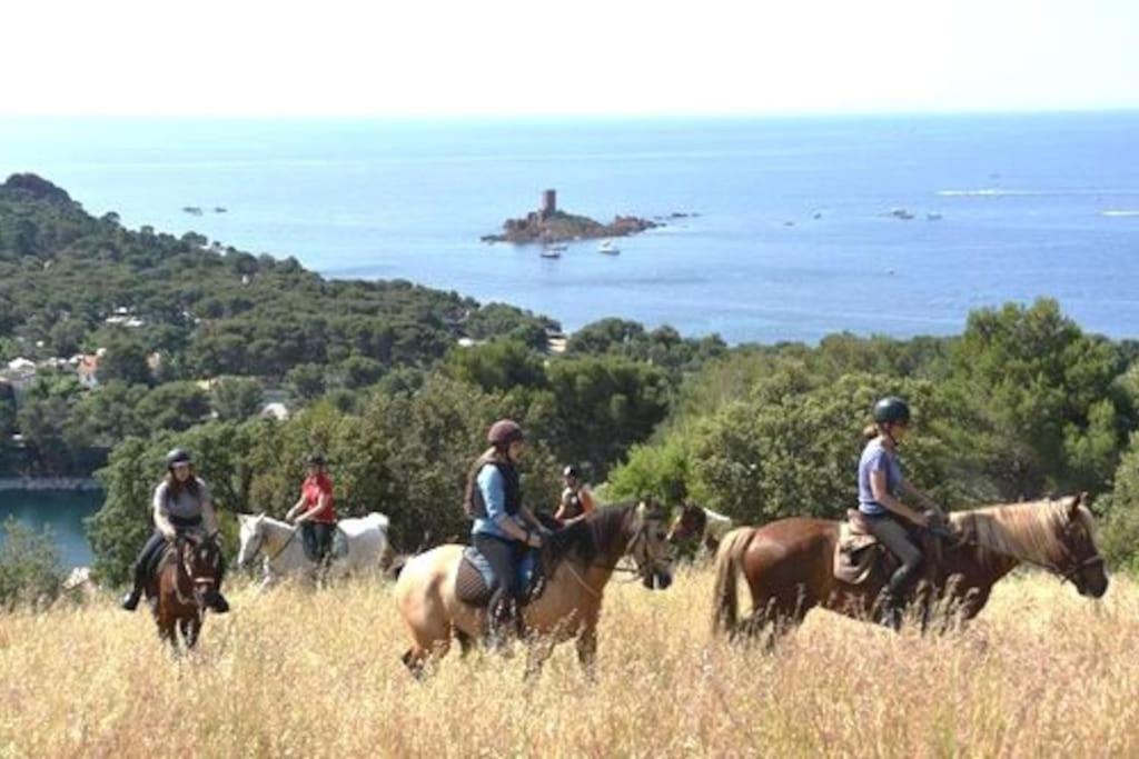 Dans Un Cadre D'Exception, Vue Mer Panoramique A Agay Cote D'Azur, Village Vacances Cap Esterel, T2 Avec Jardin, Golf, Climatisation, Wifi, 5 Piscines Saint-Raphaël المظهر الخارجي الصورة