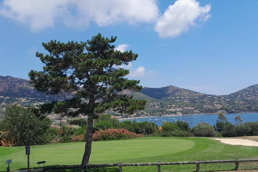 Dans Un Cadre D'Exception, Vue Mer Panoramique A Agay Cote D'Azur, Village Vacances Cap Esterel, T2 Avec Jardin, Golf, Climatisation, Wifi, 5 Piscines Saint-Raphaël المظهر الخارجي الصورة