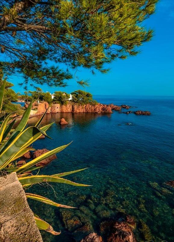 Dans Un Cadre D'Exception, Vue Mer Panoramique A Agay Cote D'Azur, Village Vacances Cap Esterel, T2 Avec Jardin, Golf, Climatisation, Wifi, 5 Piscines Saint-Raphaël المظهر الخارجي الصورة